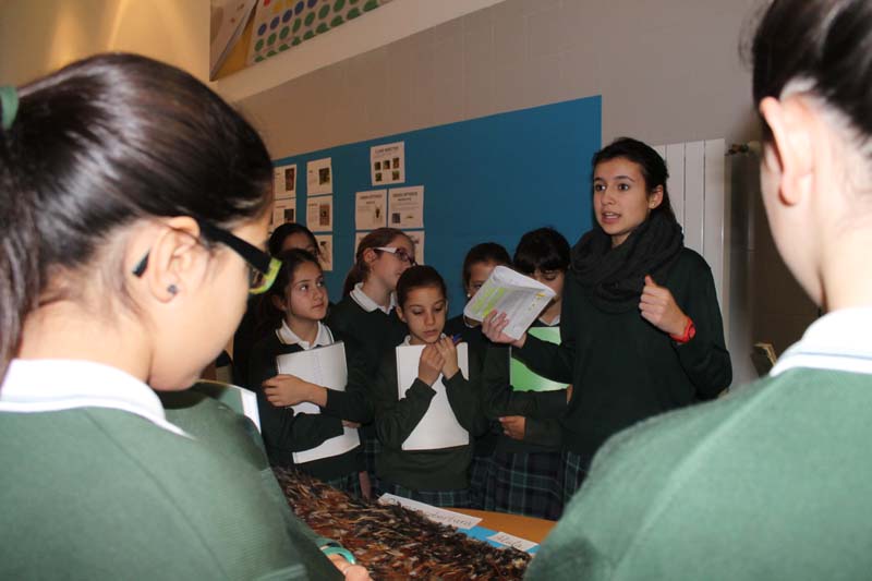 Semana Ciencias en Los Tilos